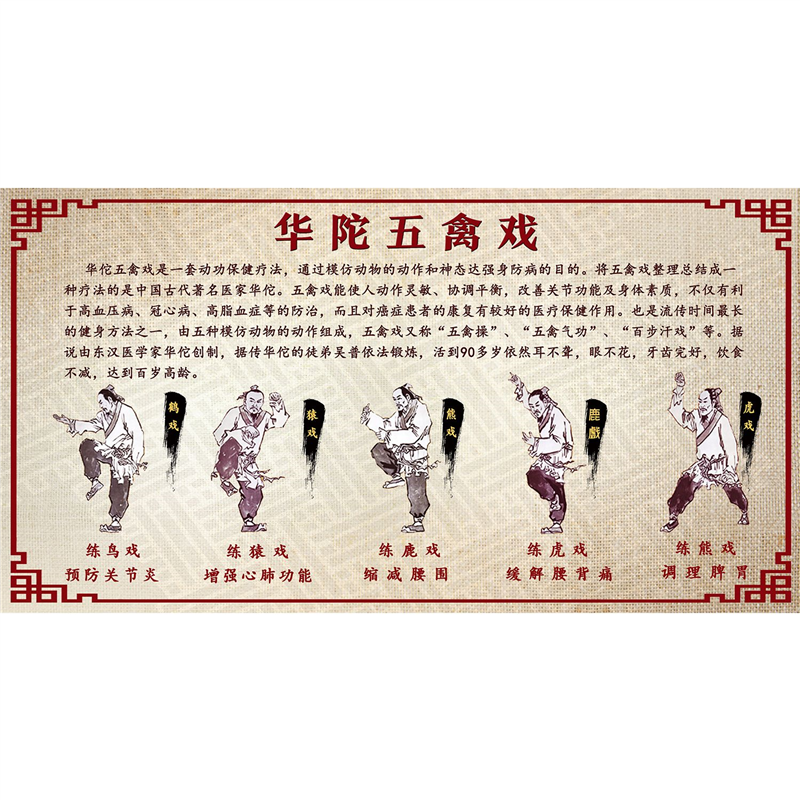 中医养生理疗晨锻炼华佗五禽戏少林气功八段锦套路海报墙贴画
