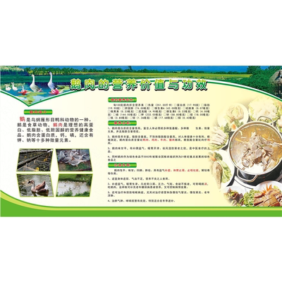 鹅的营养价值简介海报贴画A鹅肉火锅店壁纸固始鹅块壁画背景墙贴A