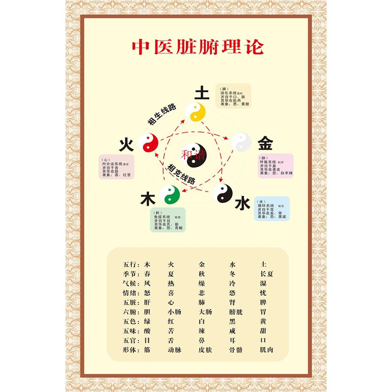 中医脏腑理论墙贴画五脏五行五色关系养生宣传海报装饰画