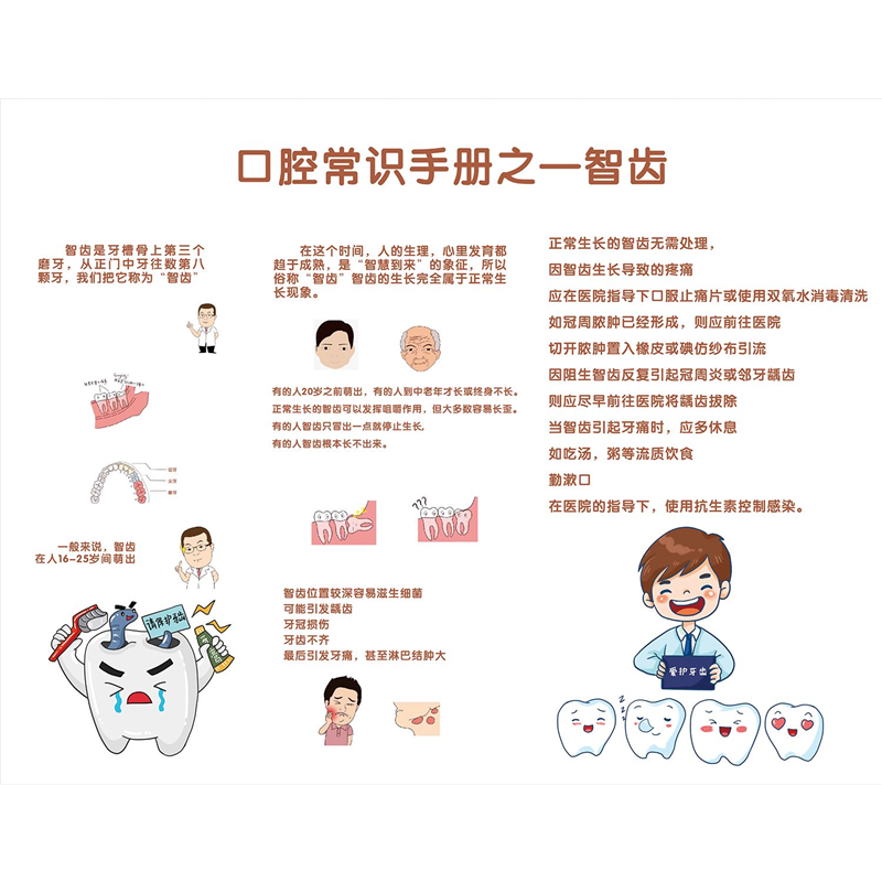 牙科诊所儿童换牙顺序图贴画牙科宣传海报爱牙日墙贴海报装饰画