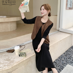 现货--2025秋装新款两件套裙203-9516-P165-K238图片