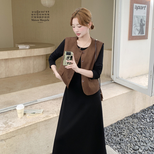 现货--2025秋装新款两件套裙203-9516-P165-K238图片
