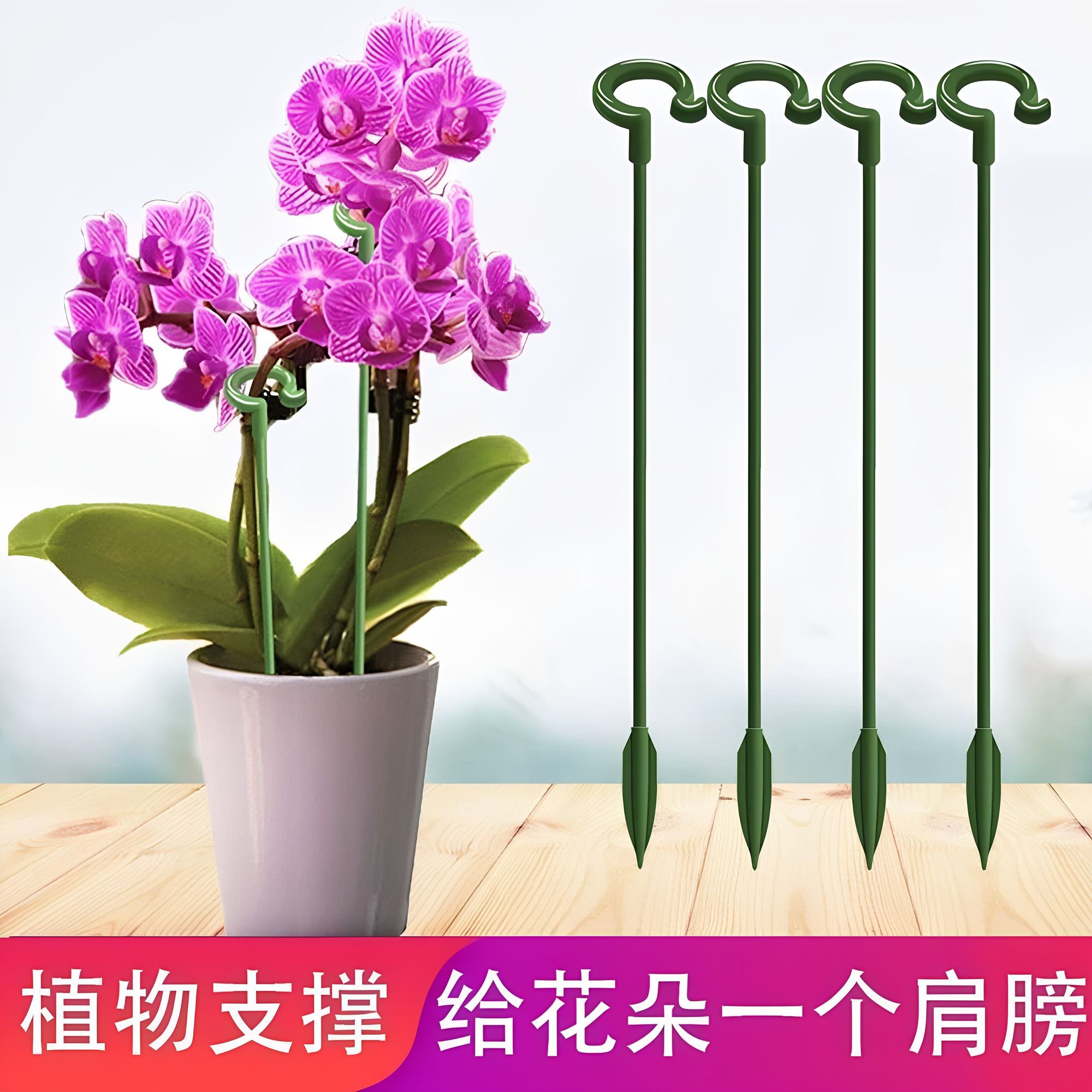 防倒伏支撑杆植物专用支架龟背竹蝴蝶兰秋海棠番茄固定神器支撑架图片