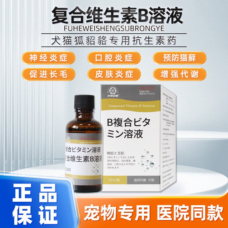 康泉复合维生素B溶液宠物维生素营养补充狗狗猫咪神经炎口腔炎症
