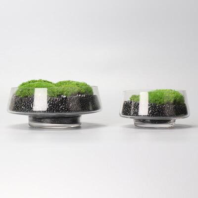 中式现代简约轻奢永生苔藓真苔藓干花绿植花艺盆景洽谈桌餐桌摆件