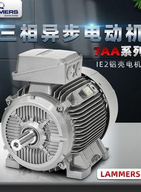 VEM同款 德国LAMMERS电动机7AA/12AA/13AA/14BG/1TZ9系列电机立式