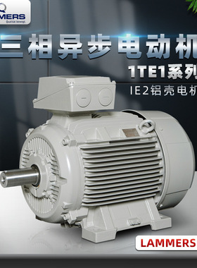 ELEKTRA同款德国LAMMERS电动机7AA/1TE1/1TZ9铸铁卧式机械设备