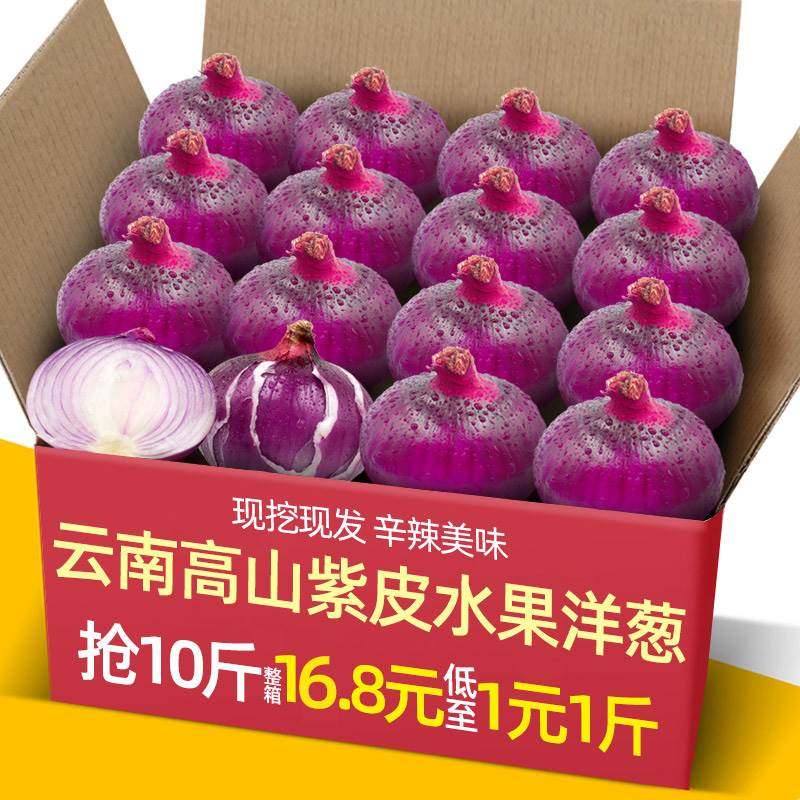 正宗云南大理紫皮水果洋