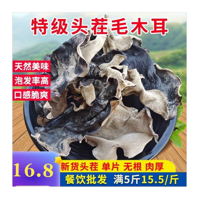 特级头茬白背毛木耳优质无根大