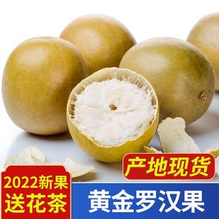 新鲜干果大果广西桂林永福特产泡茶 2023黄金低温脱水罗汉果正品