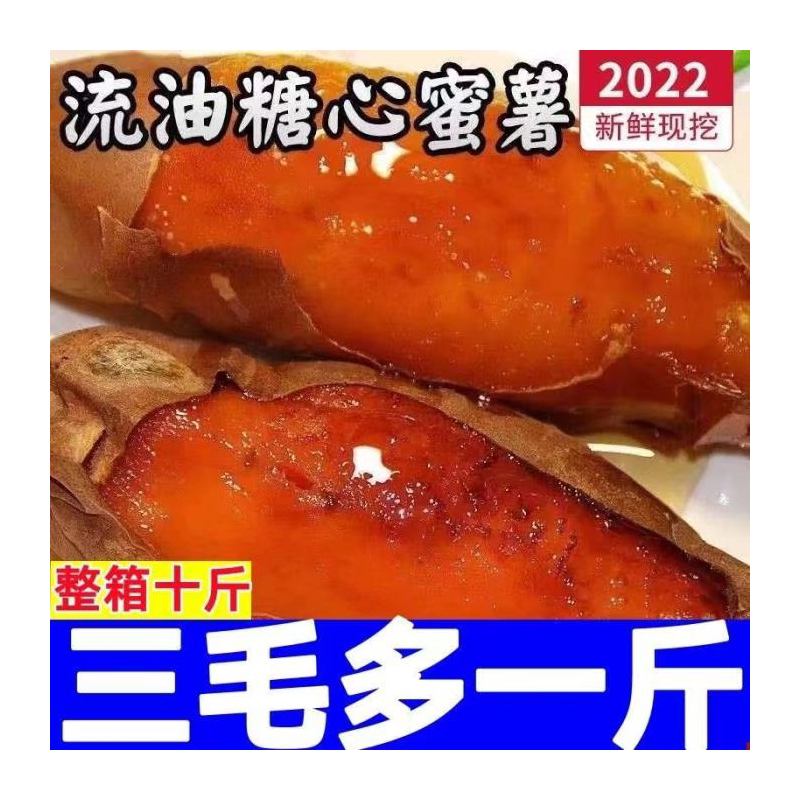 新鲜红薯农家自种西瓜板栗蜜10