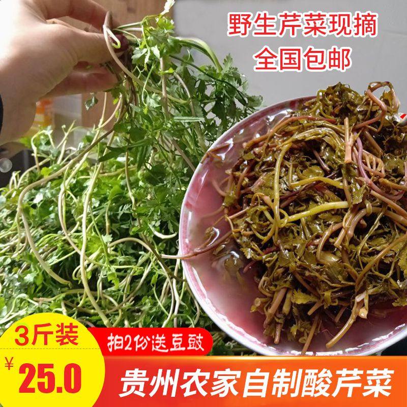 酸芹菜贵州特产新鲜野生芹菜细叶芹剪刀芹3包邮农家自制芹菜酸