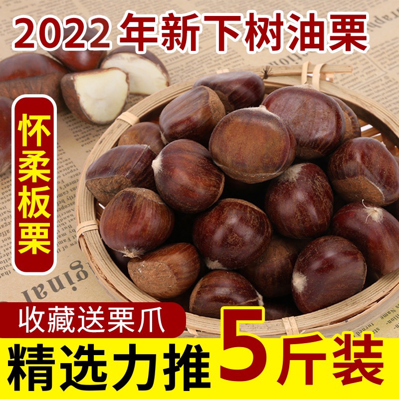 北京怀柔特产精选油栗子生板栗野生栗子五散装新鲜板栗包邮现货使用感如何?