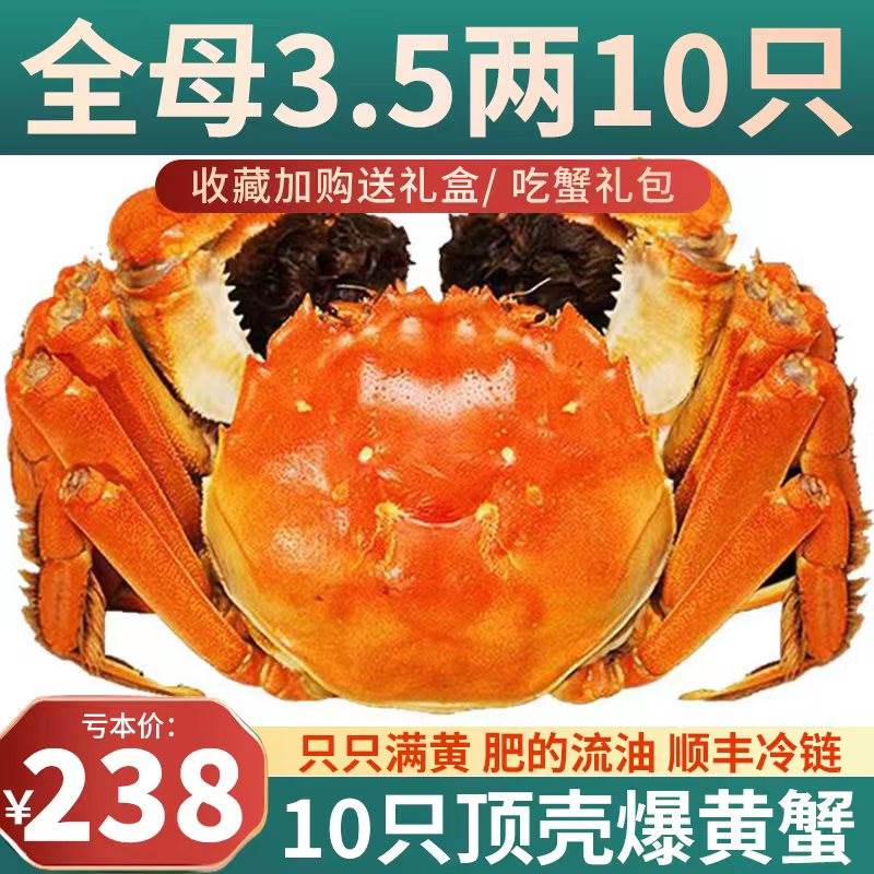 活蟹特大10只全母阳澄湖镇大闸蟹官方旗舰店海鲜鲜活河蟹螃蟹礼盒