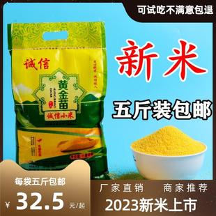 小米粥宝宝辅食黄金苗黄小米新米五谷杂粮 小黄米新米早餐食用吃