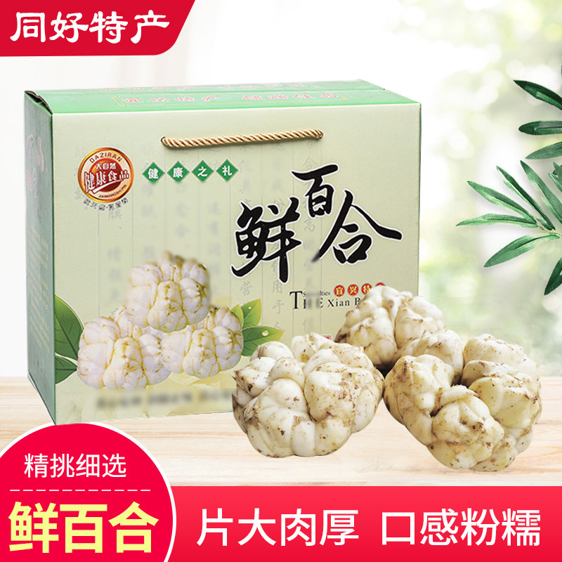 宜兴鲜百合521头新鲜食用微苦现挖自种精选优质礼盒装丰网包邮