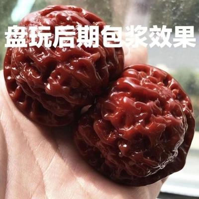 T文玩核桃特大收藏级机刷