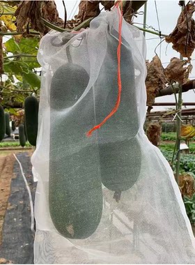 南瓜防虫套袋冬瓜套袋尼龙加密丝瓜葡萄防蝇西瓜火腿腊肉水果套袋