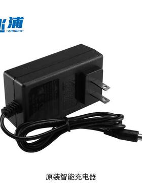 平衡车原装充电器220V充36V锂电池 充满截止42V电压 1A智能快充