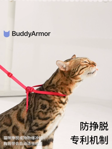 Buddyarmor Cat Pett Petal Back Traction Roving Set Новый год праздник подарок Валентин