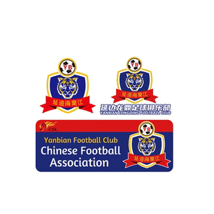 tutu延边龙鼎足球俱乐部边划痕汽车摩托电动机箱反光装饰贴纸