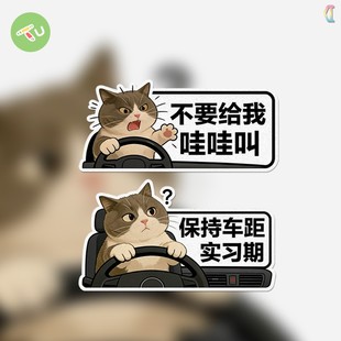 暴躁小猫不要哇哇叫文字汽车摩托油箱玻璃窗机箱划痕反光贴