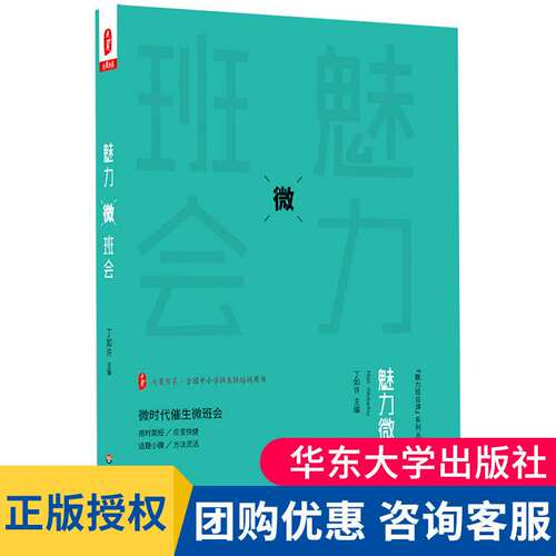 现货正版 魅力微班会 丁如许 大夏书系 全国中小学班主任培训用书 魅力班会课系列 微班会课例教师读物 华东师范大学出版社