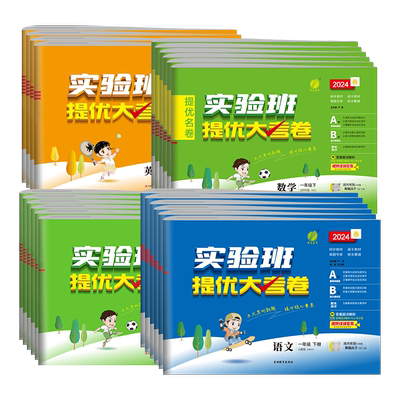 2025新版实验班提优大考卷