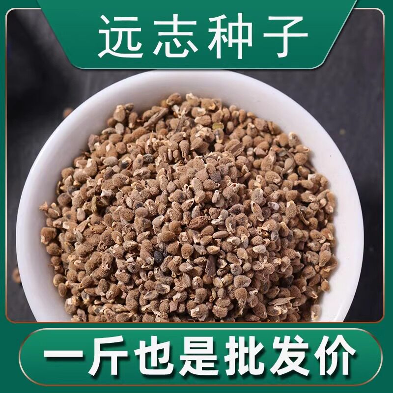 远志种籽散装野生中药材细叶远志的种子种植苗一斤500g春季秋季种