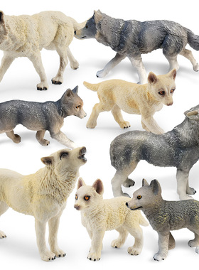 亚马逊仿真北美白狼动物模型静态咆哮狼走姿灰狼桌面装饰摆件玩具