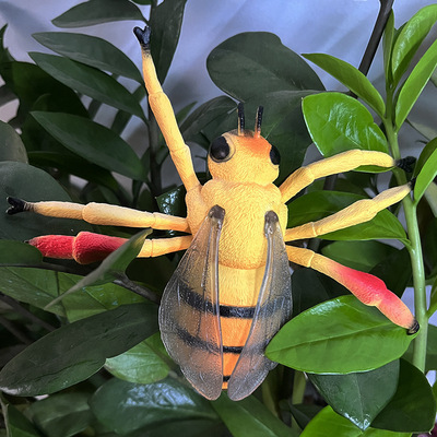 儿童仿真动物模型昆虫玩具蜘蛛