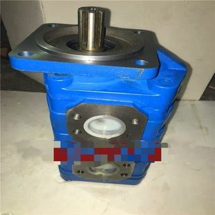 CBG铸铁高压齿轮油泵2032 2080 2040 2063 2100质量保证 2050 正品