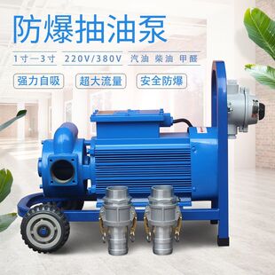 防爆抽油泵220V380V自吸滑片泵12V2寸大流量大功率汽油柴油泵3寸