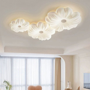 2025年新款 客厅灯主灯花朵艺术奶油极简风卧室房间吸顶灯原木风