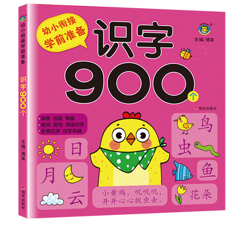 幼小衔接学前准备900题正版全5册基础汉字识字900个数学练习题900题语文专项训练900题拼音基础训练900题成语接龙游戏900个幼升小