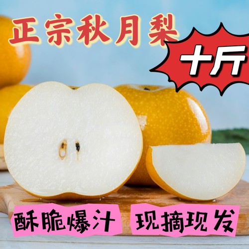正宗冰糖秋月梨蜜梨当季整箱精品新鲜水果甜脆冰糖梨子现摘现发