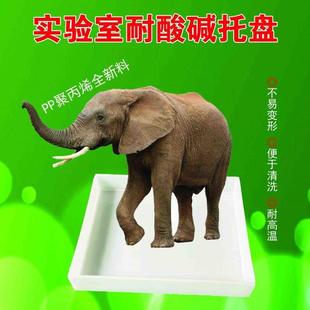 定制实验室托盘PP聚丙烯橱柜抽屉花盆盘危化品防渗漏带拉手需备注
