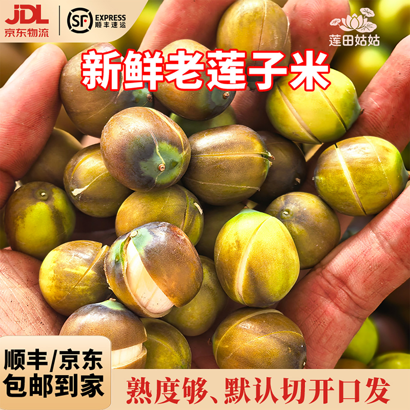 顺丰京东包邮广昌带壳老莲米