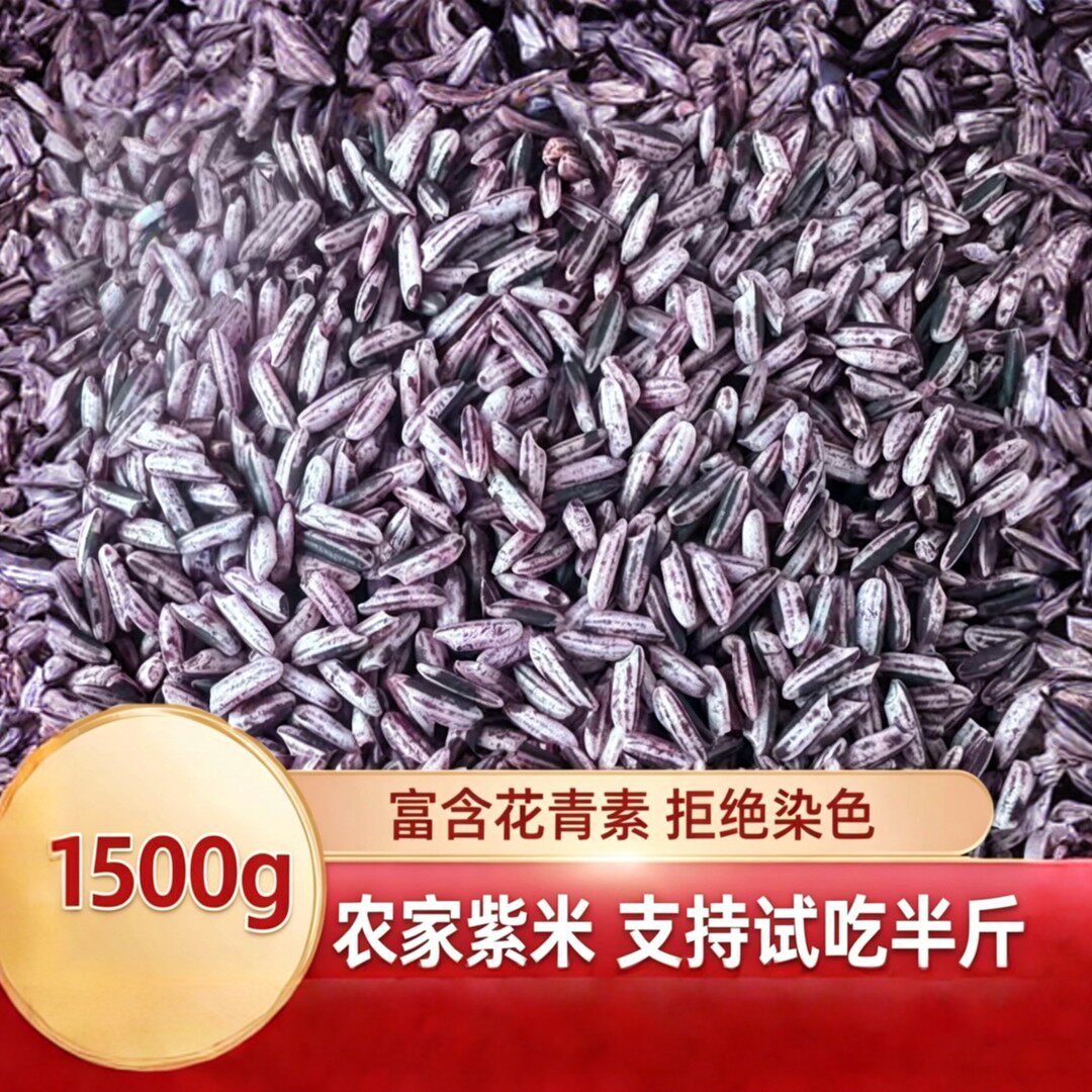 农家紫米无需泡发农家产可煲粥煮饭包粽子月子米试吃半斤