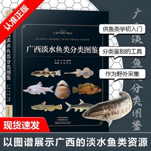 【书】广西淡水鱼类分类图鉴 广西淡水鱼分类地位鉴别特征生活习性种群状况地理分布 淡水鱼类图集 河南科学技术出版社书籍