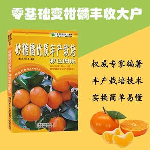 砂糖橘优质丰产栽培彩色图说 新农村新亮点系列丛书 柑橘种植实用技术指导参考 全彩铜版纸印刷 潘文力 黄文东编著 农业