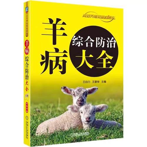 正版书籍 放心购支持七天无理由