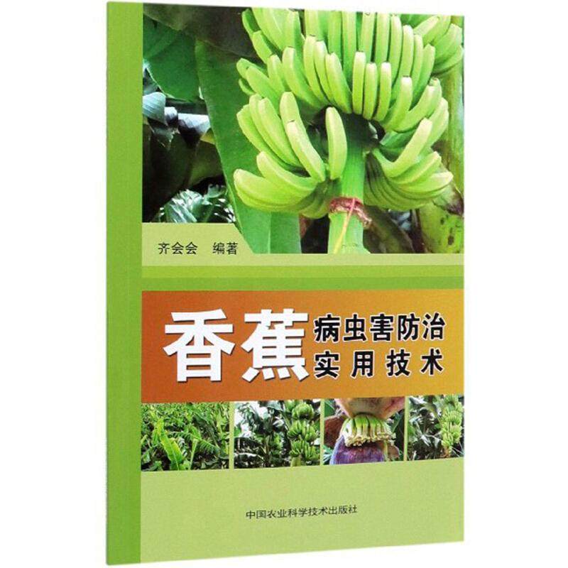 正版书籍   放心购支持七天无理由