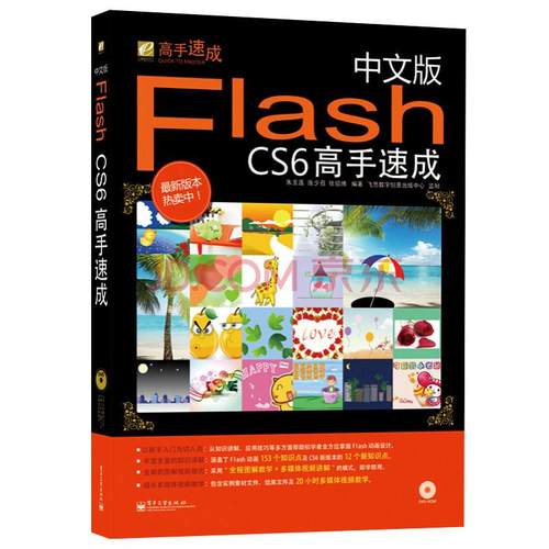中文版Flash CS6高手速成