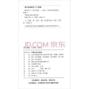 跨度长篇小说文库：藏马山下