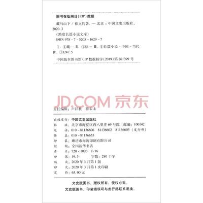 跨度长篇小说文库：藏马山下