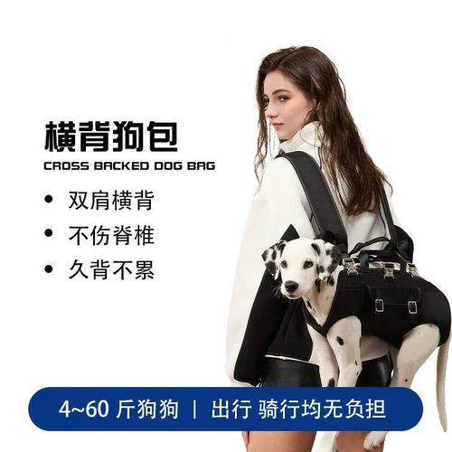 宠物外出双肩包狗狗便携背包