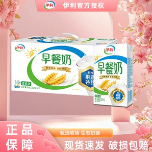伊利早餐奶麦香核桃味250ml 12月生产 24盒早餐搭档S 整箱送礼