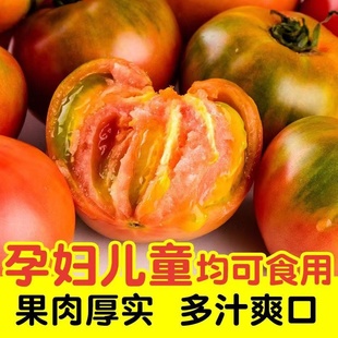 福建盐碱地正宗铁皮柿子草莓西红柿新鲜5 酸甜小番茄孕妇水果蔬菜