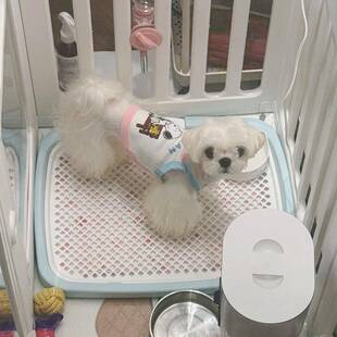 狗狗厕所宠物定点尿盆小狗厕所爱丽丝固定尿垫便盆托盘定点狗厕所